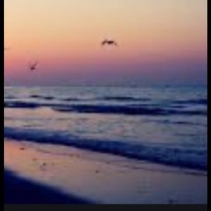 Please bundle or make offers!😽